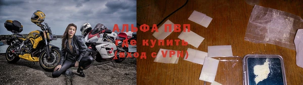 каннабис Инта