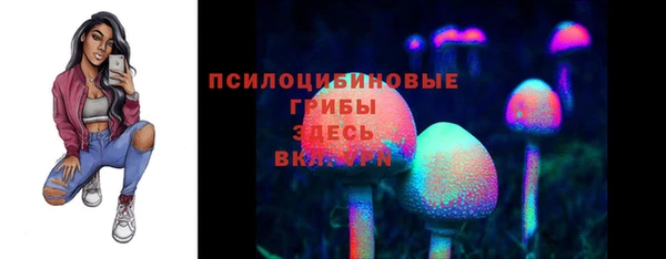 мескалин Касимов