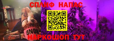 mdpv Гатчина
