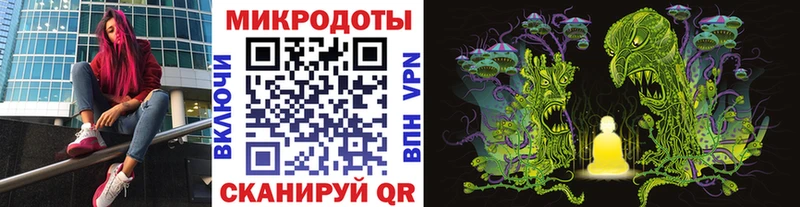 Псилоцибиновые грибы Cubensis  Ишим 
